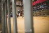 Palio Straordinario: la fotogallery delle Prove di Addestramento Mattutine
